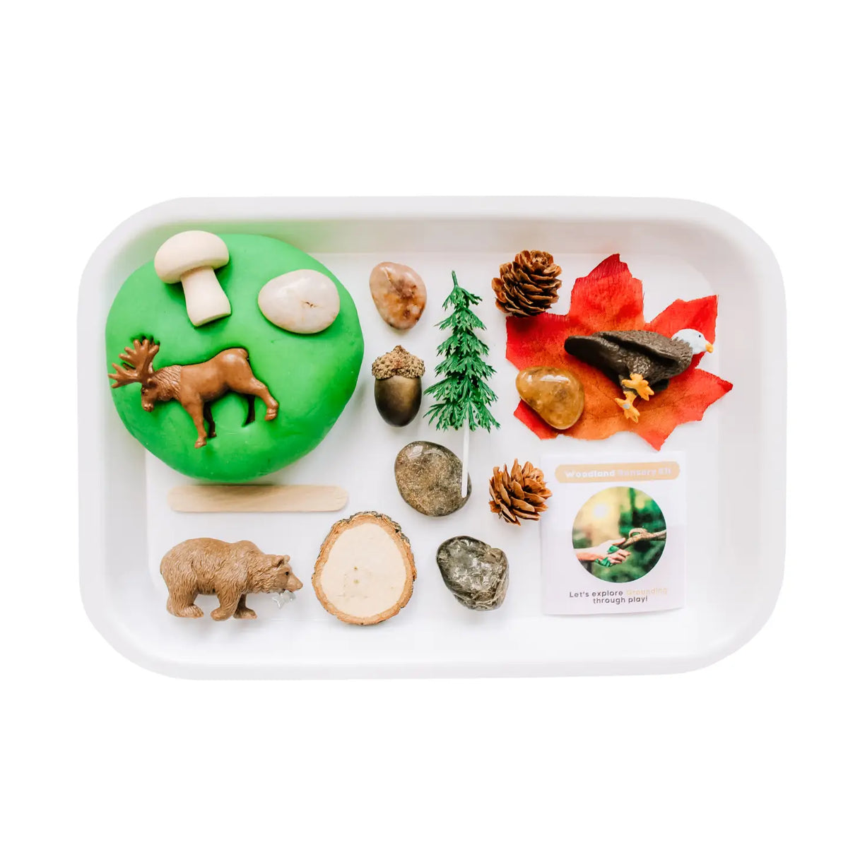 Children's Sensory Play Dough Kit