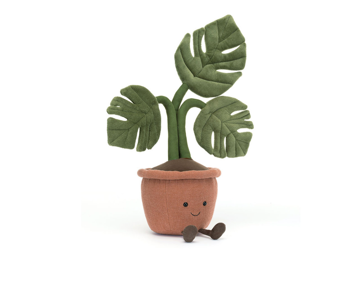 Amuseables Monstera Plant